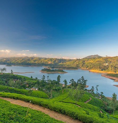 Nuwara Eliya